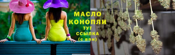 гашик Дмитриев