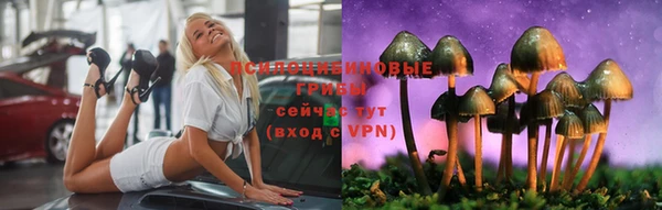 первитин Гусь-Хрустальный