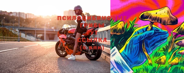 метадон Гусиноозёрск